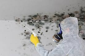 Trusted Mission Hills, CA Mold Removal Services Experts